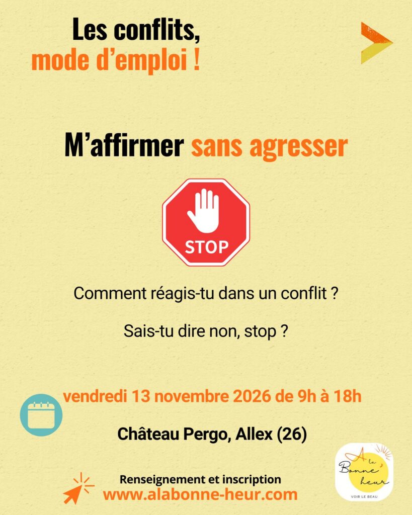 Affiches Conflits mode emploi-3