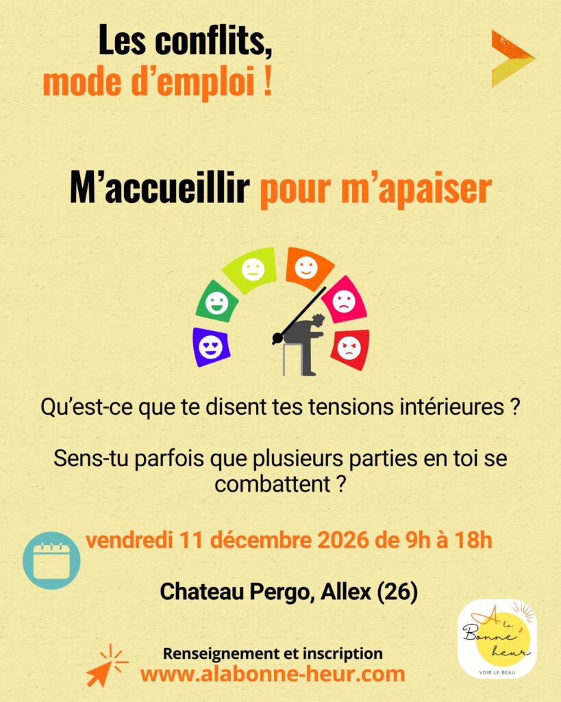 Affiches Conflits mode emploi-5